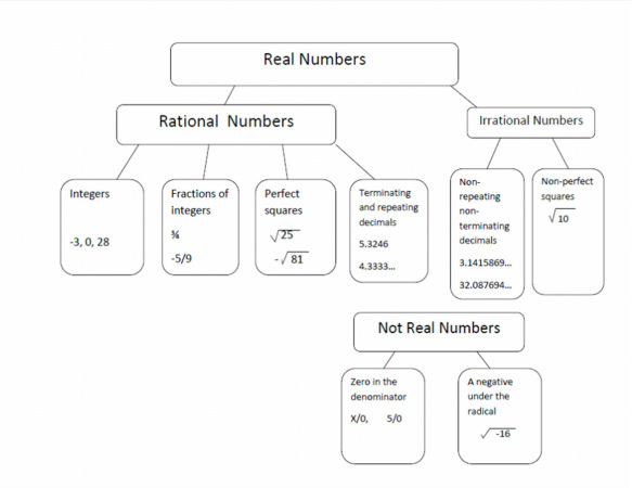 rational vs irrational numbers worksheet pdf